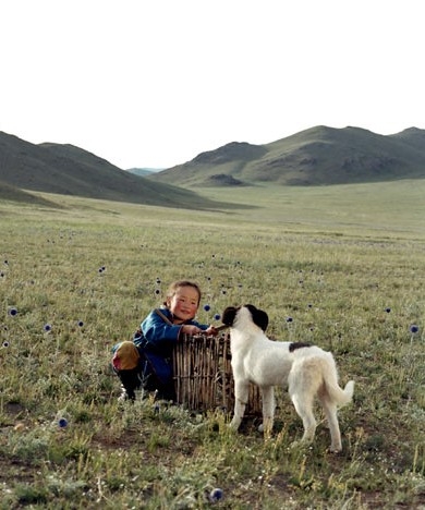 una-scena-de-il-cane-giallo-della-mongolia-25830