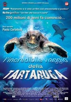 la-locandina-di-l-incredibile-viaggio-della-tartaruga-134868