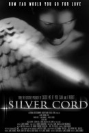 Silver streaming film megavideo