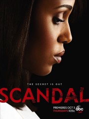 scandal-un-poster-della-terza-stagione-283202_medium.jpg